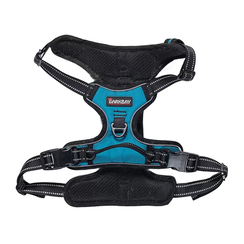 BARKBAY No Pull Adventure Dog Harness Teal
