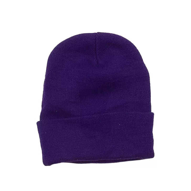 Salomon Classic Beanie Purple