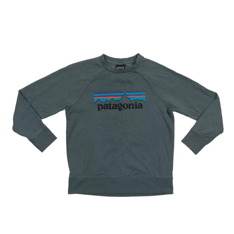 Patagonia Lightweight Crew Sweatshirt – Kids’ Blue